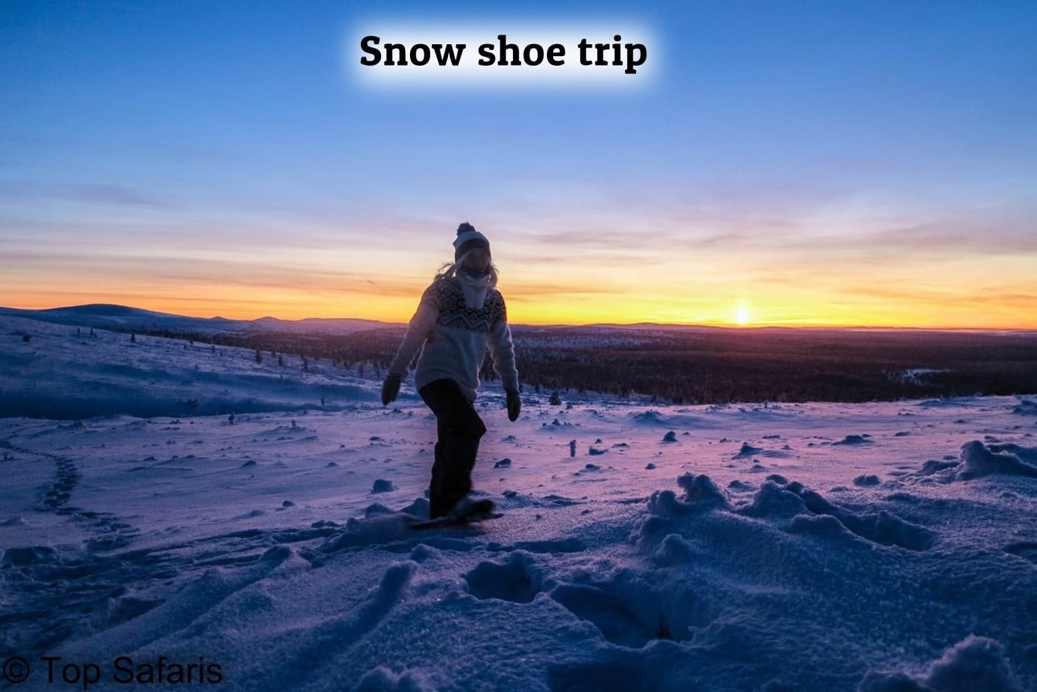 Snowshoe trek silhouette at sunset across Arctic tundra, Saariselkä
