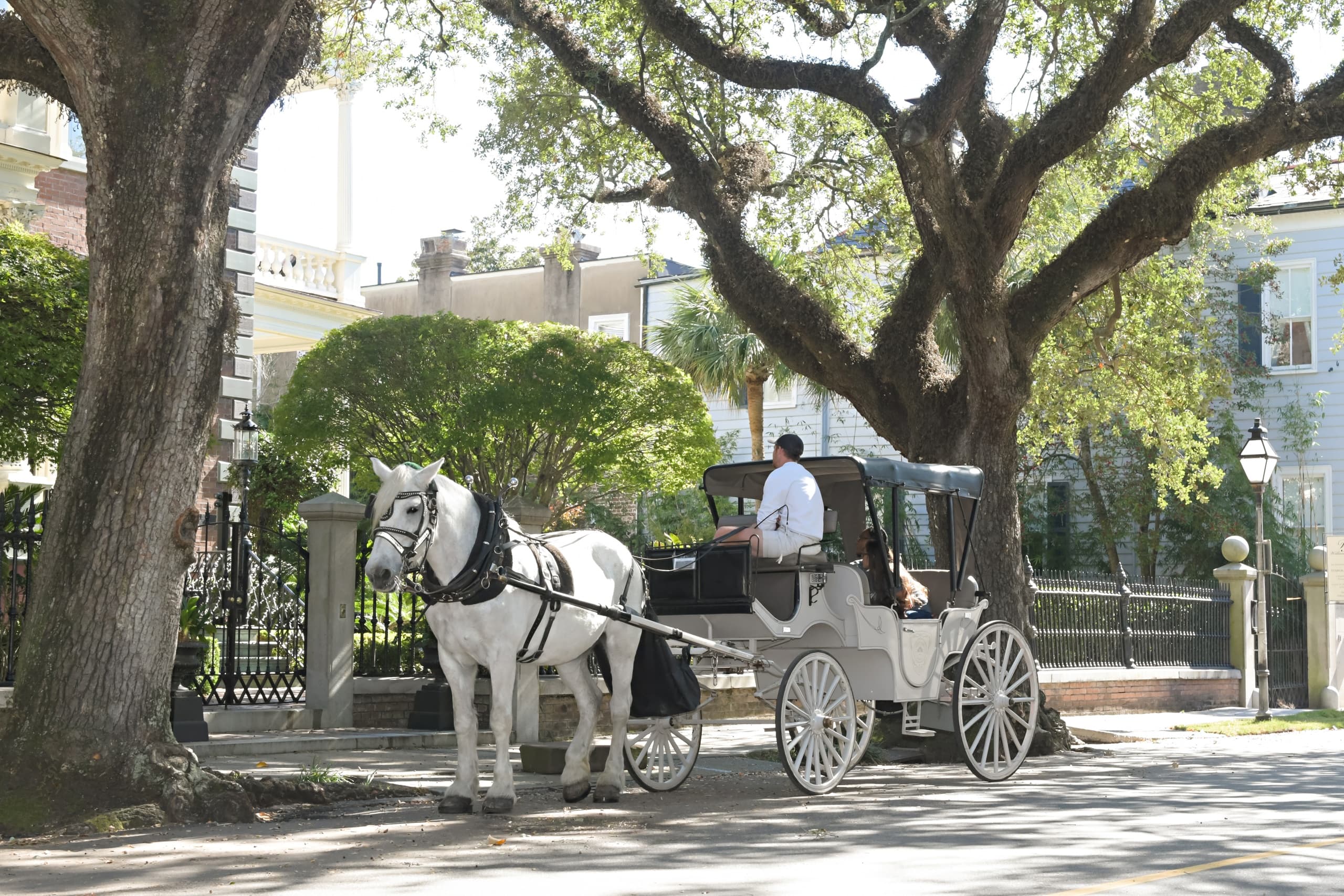Private Charleston Carriage Tour