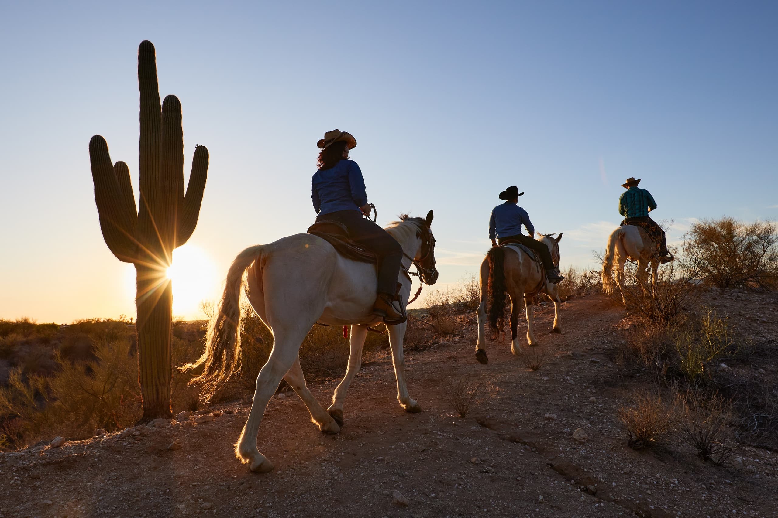 Half-Hour Horseback Ride at El Conquistador — Tucson’s Intro to Desert Trails