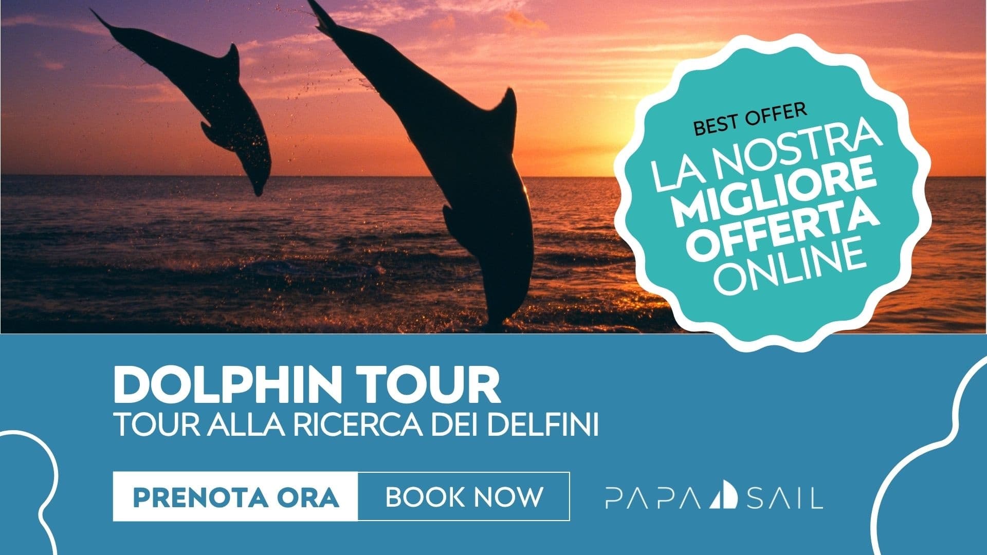 Sunset dolphins leaping over sea during guided coastal boat tour