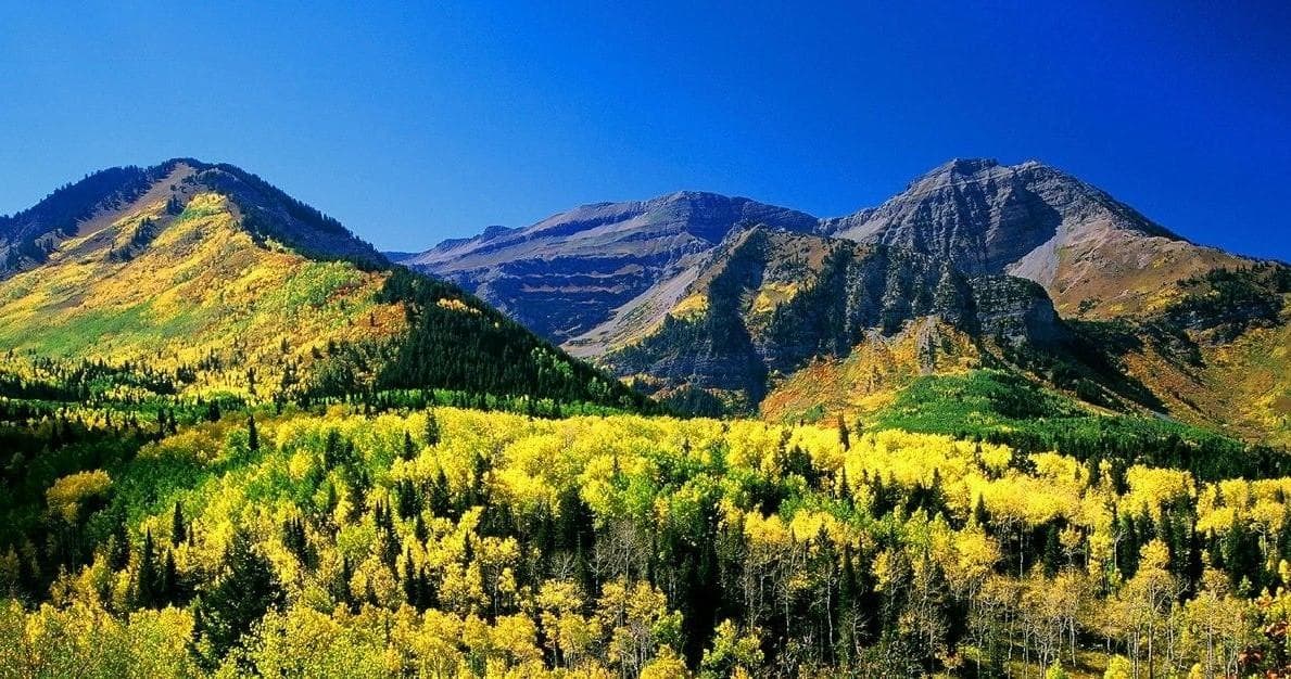 Intro to Mountain Biking Private Tours in Park City, Utah