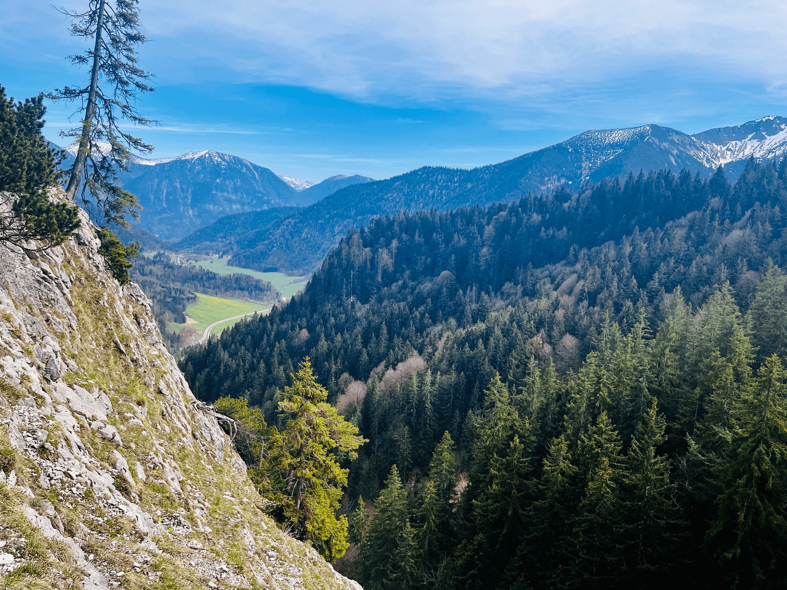 Forested alpine ridge viewpoint overlooking valley and peaks