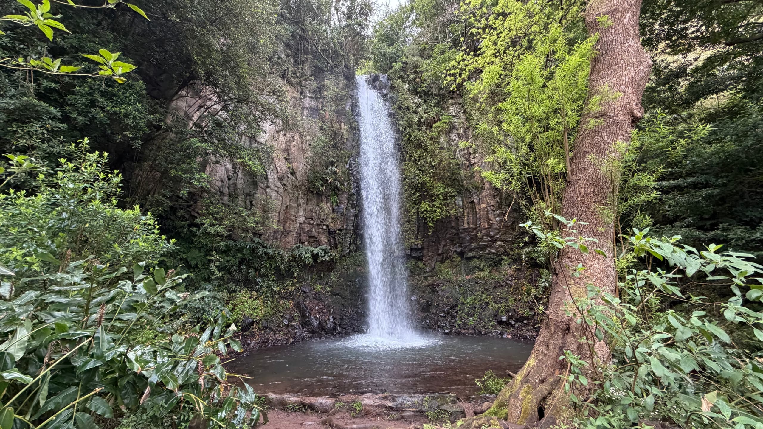 design-your-perfect-day-in-madeira-private-van-tours-from-santa-cruz photo 1