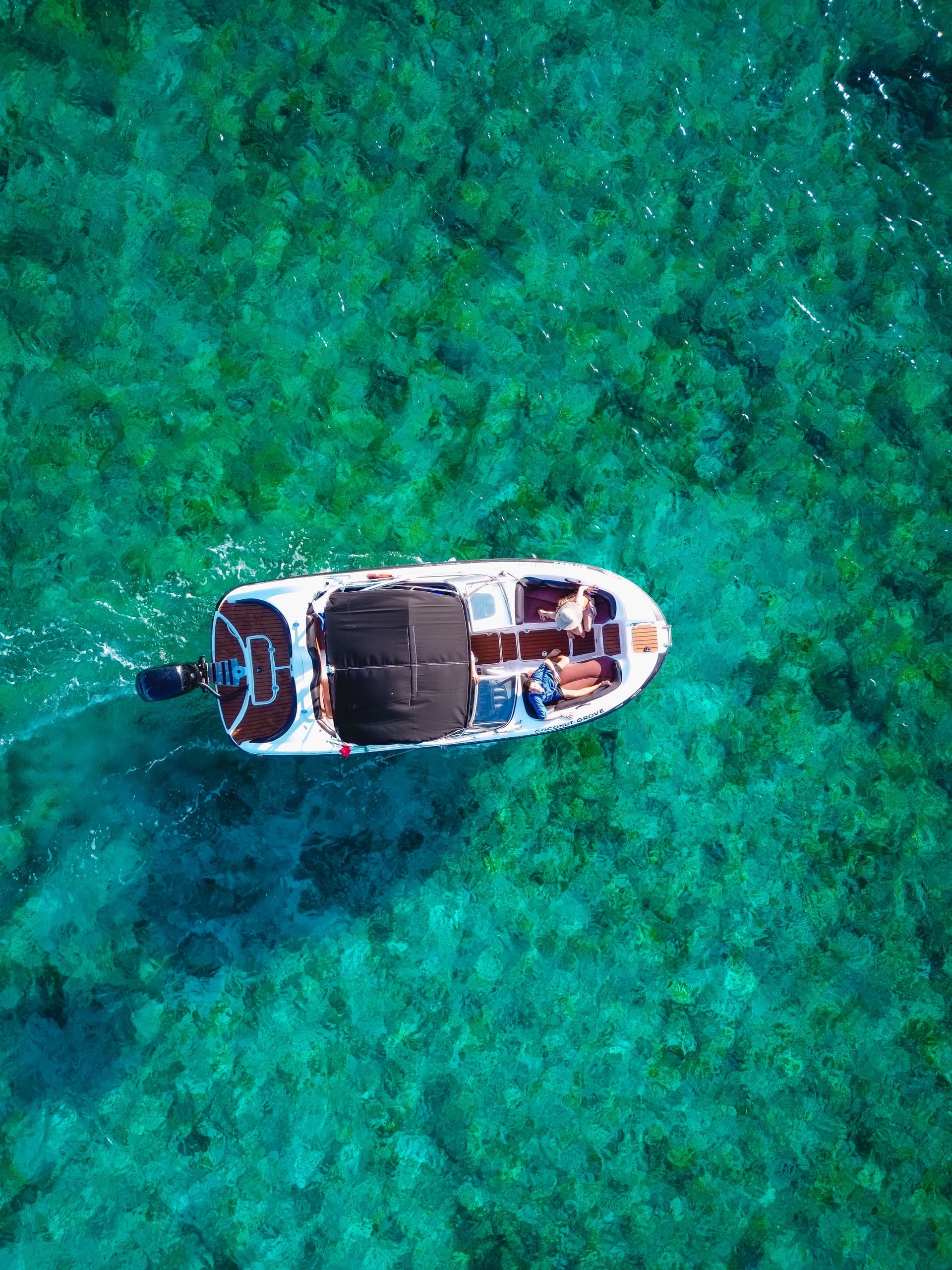 El Cielo Private Experience: 4-Hour Private Boat to Cozumel’s Starfish Sandbar photo 4
