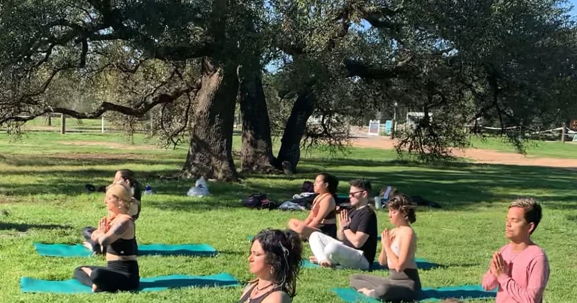 Relaxing Yoga in the Park Experience in Austin, TX