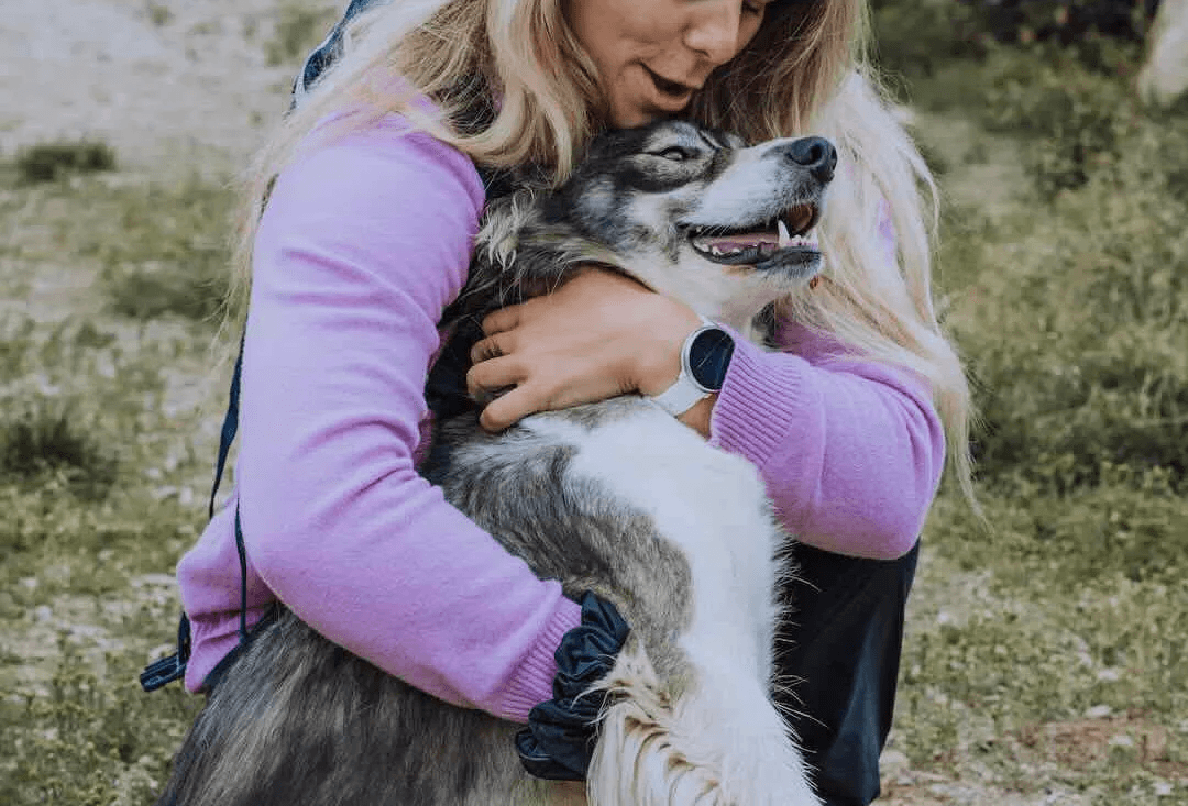 Lapland Husky Safari at Wilderness Hotel - Muotka