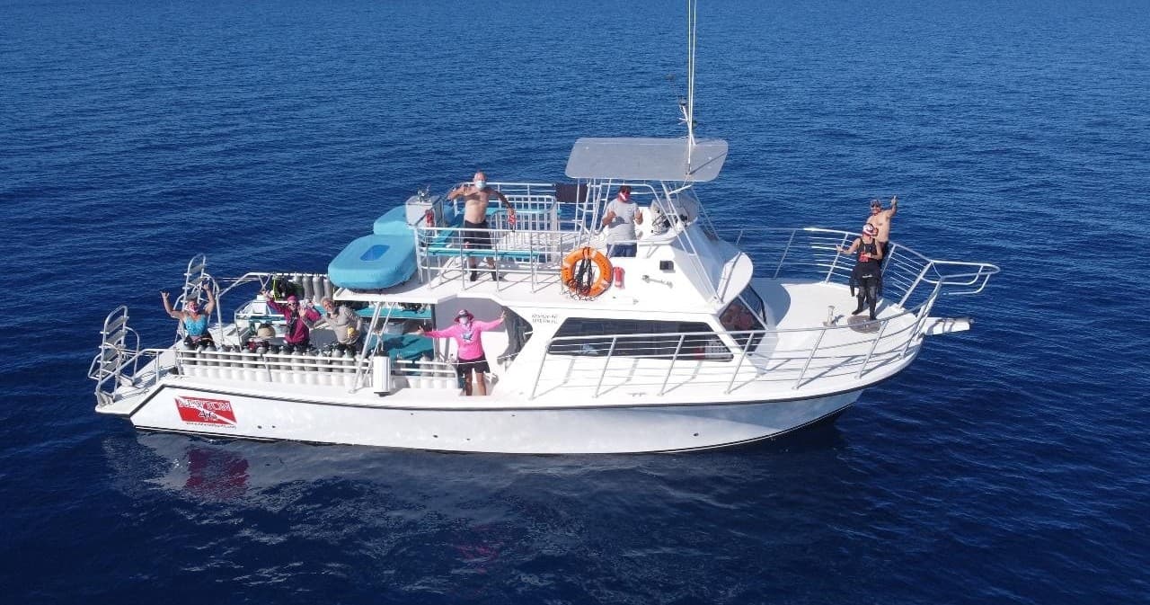 Dive Molokini Crater with Maui Diamond Sea Sports