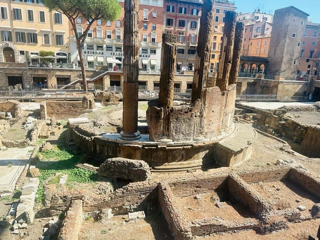 Pompeii to Sorrento: Private Day Tour from Rome Through Ruins and Coast photo 3