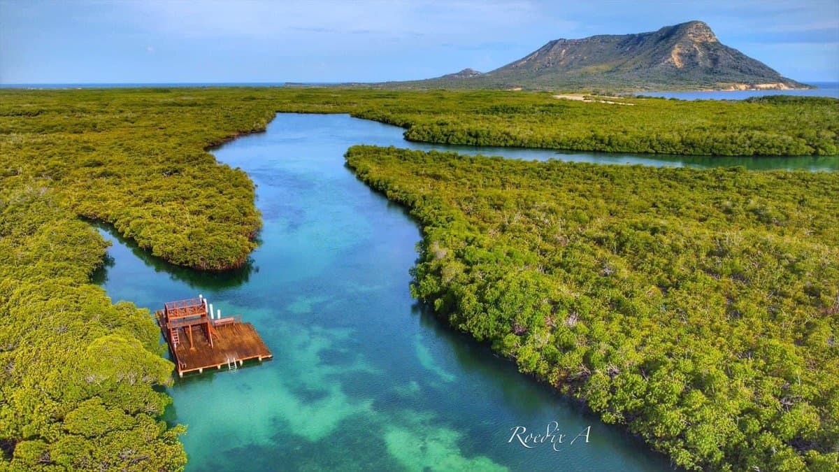 Paradise Island Tour: Snorkel Cayo Arena from Puerto Plata photo 3