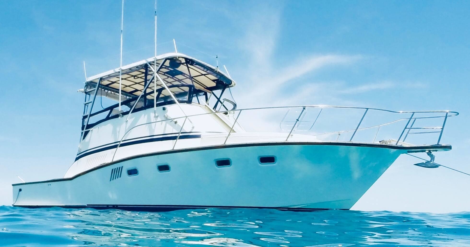 Sea Monkey Ocean Adventures team