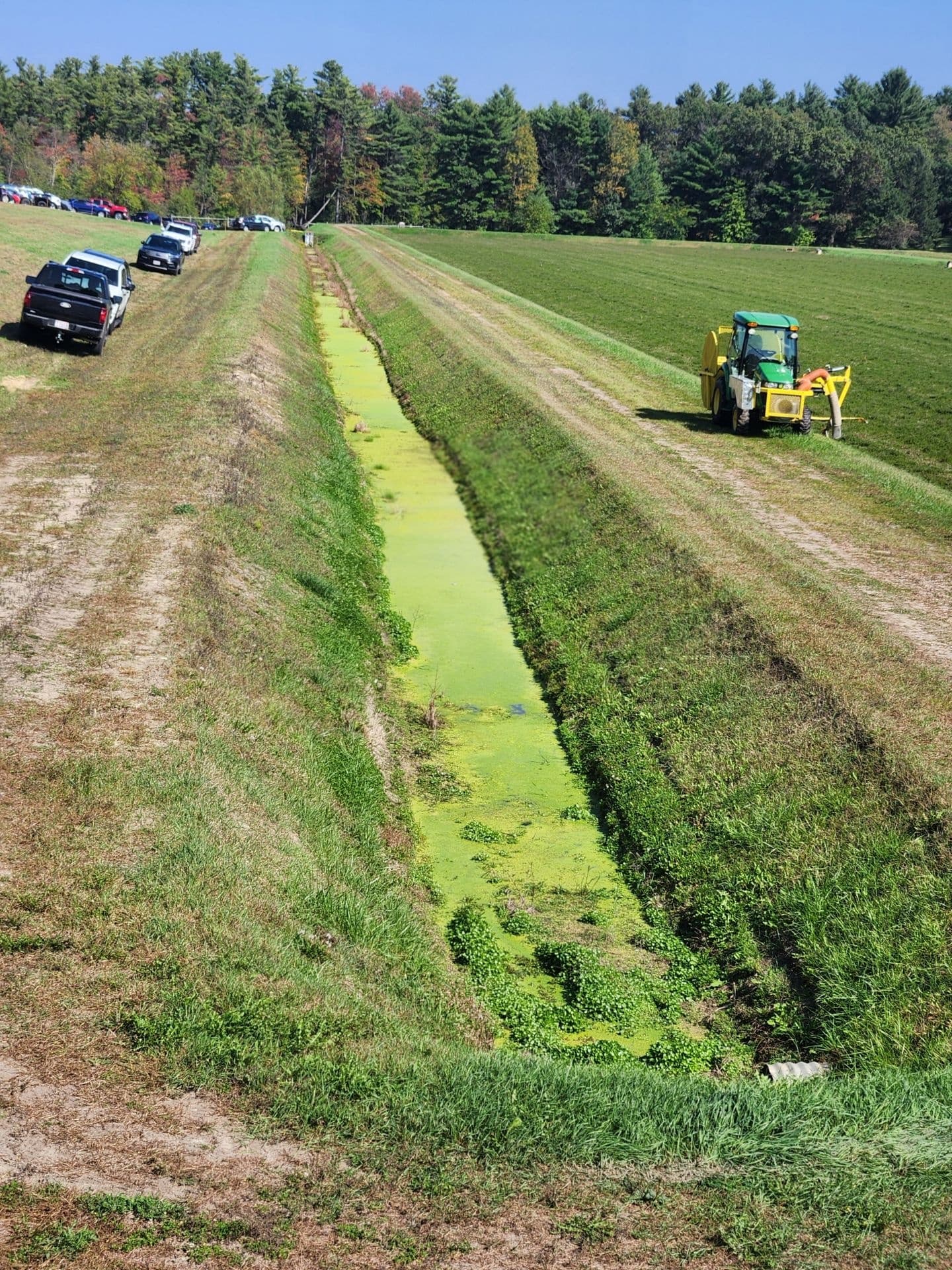 Inside the 53rd Annual Warrens Cranberry Festival: A One-Day Harvest Road Trip photo 3