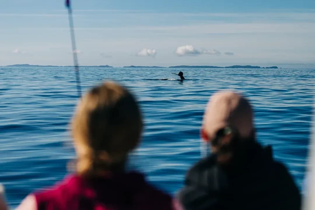 Islands of Wonder: Small-Group Wildlife Cruise & Remote Beach Landing in Sitka photo 2