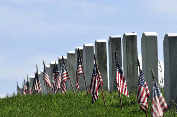 Explore Iconic Washington DC Landmarks and Arlington Cemetery on a Guided Tour