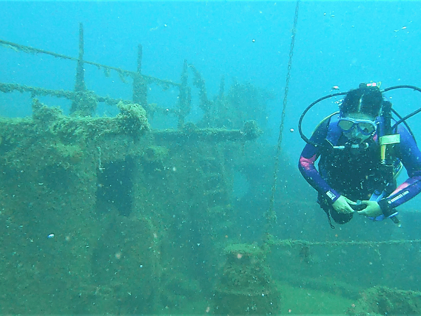 Scuba Diving & Photography at Tarragona’s Dragonera Underwater Park