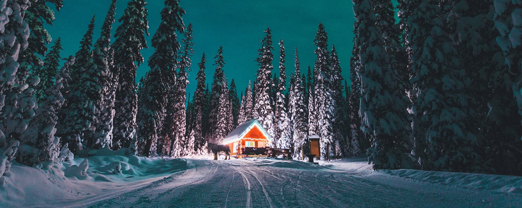 Dinner Sleigh Tour at Big White Ski Resort