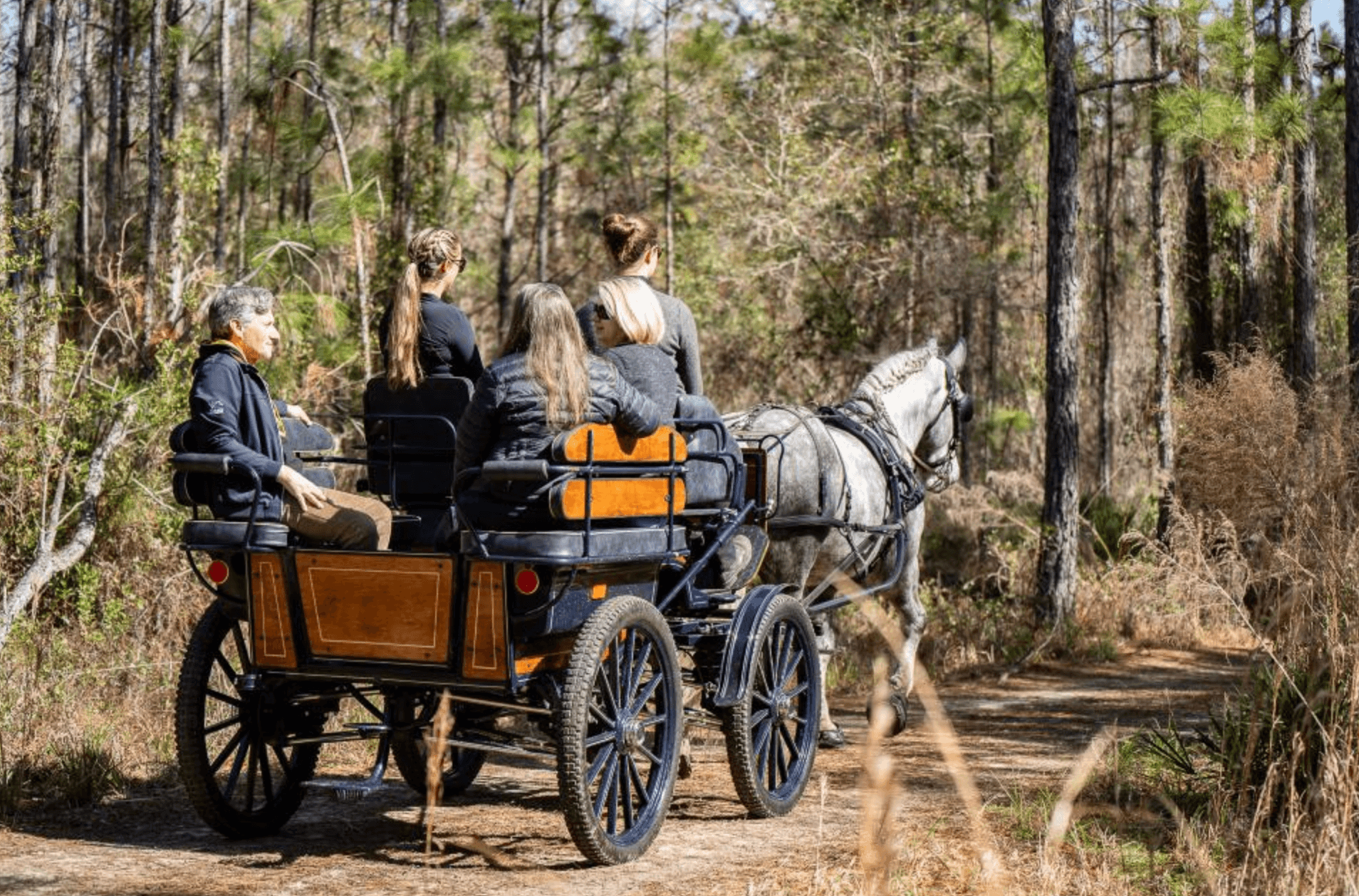 Land Adventures with Black Prong Adventures LLC in Goethe Forest