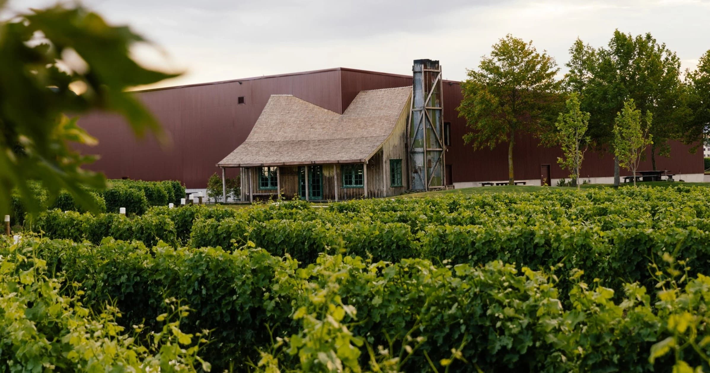 Wine Tasting & Cave Experience at Jackson Estate