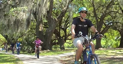 Cyclists riding through shaded oak park with Spanish moss
