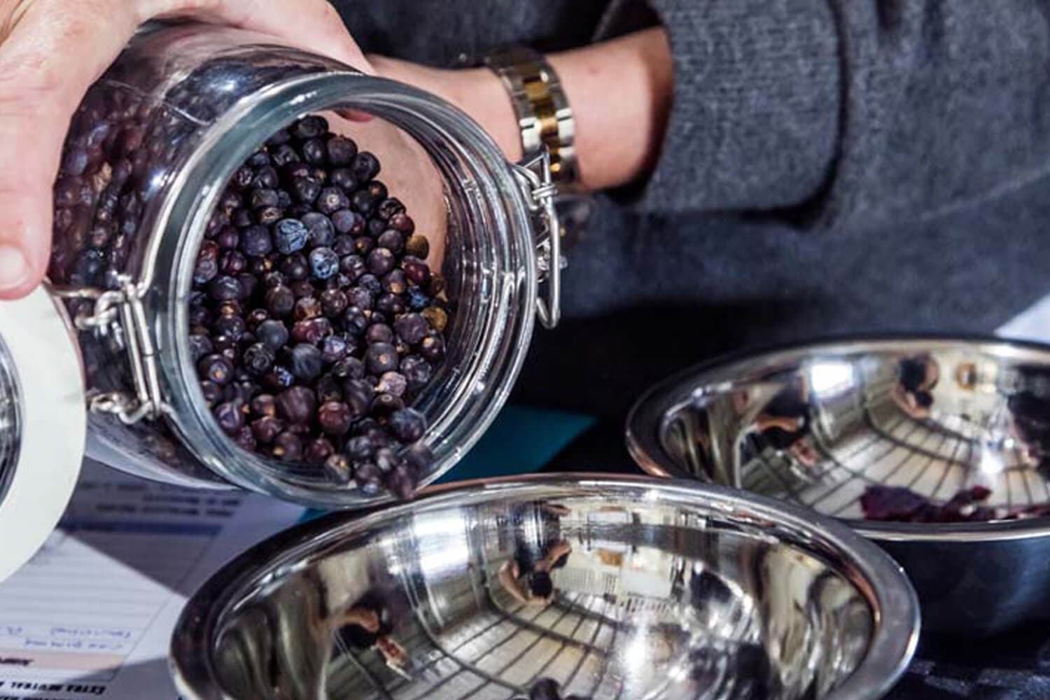 Water-Activities & Gin Blending Tour at Tash Maree Travel