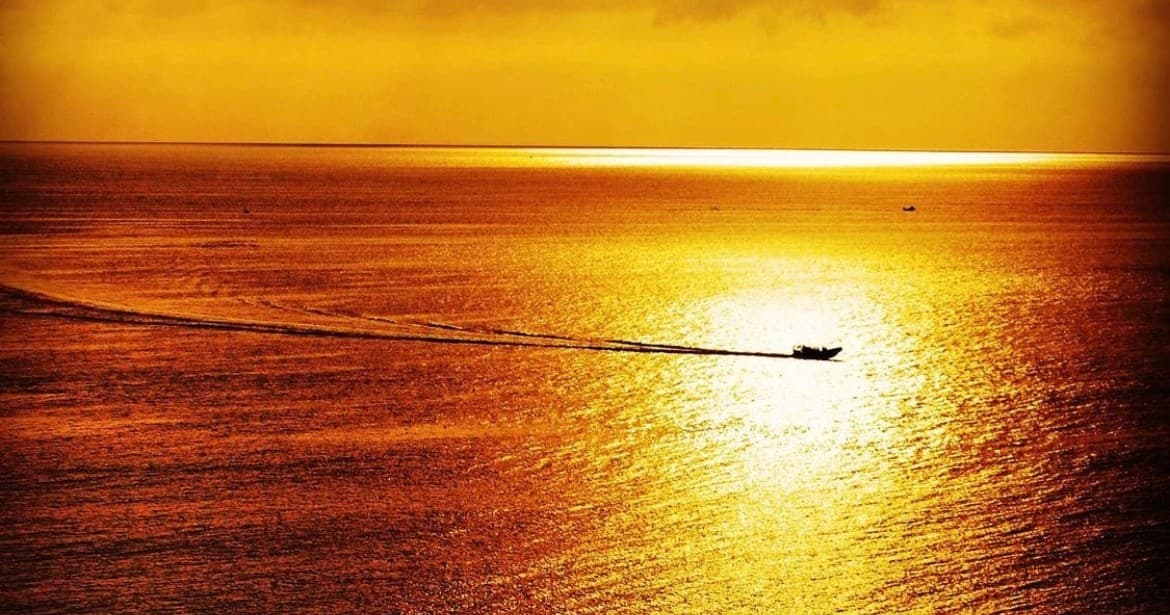 Jurassic Coast Scenic RIB Cruise with Lyme Bay RIB Charter