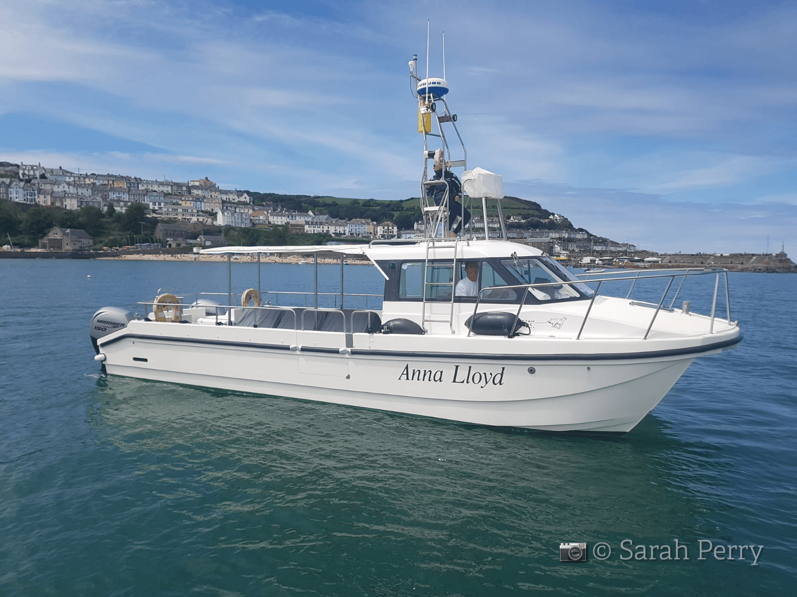 Cardigan Bay Dolphin Trips with Dolphin Survey Boat Trips