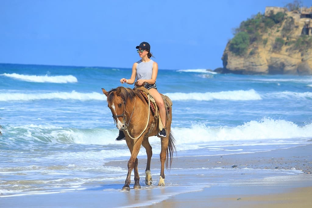 Land Adventures: Vallarta Best Tours Horseback Riding Experience