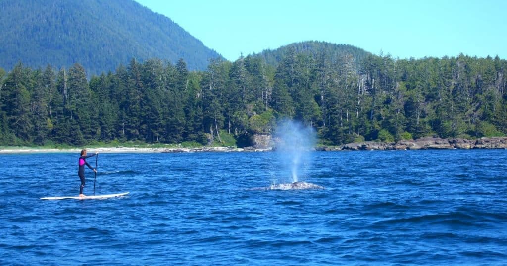 Water Activities & SUP Tour in Tofino's Coastline
