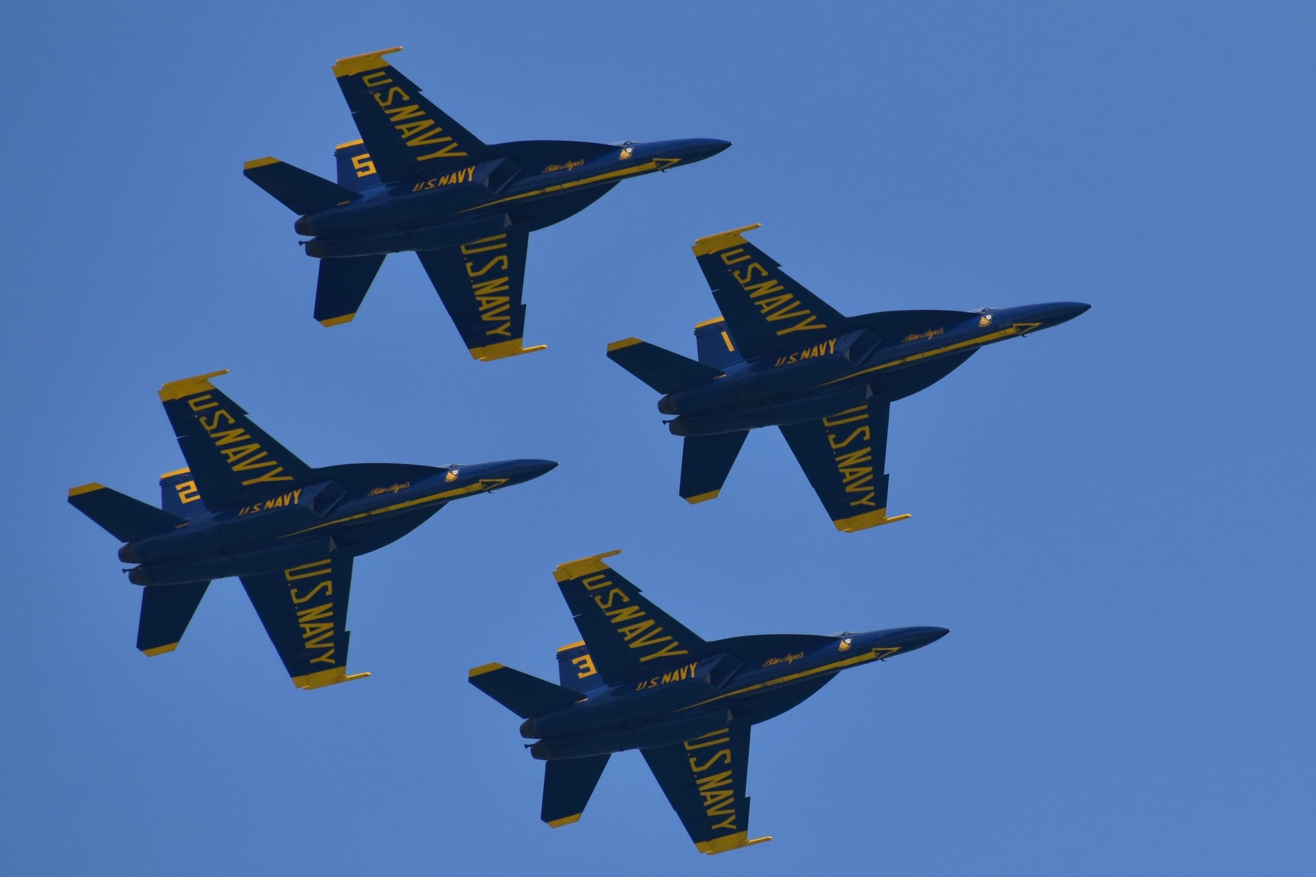 Water Activities & Blue Angels Cruise with Barefoot Family Dolphin Tours
