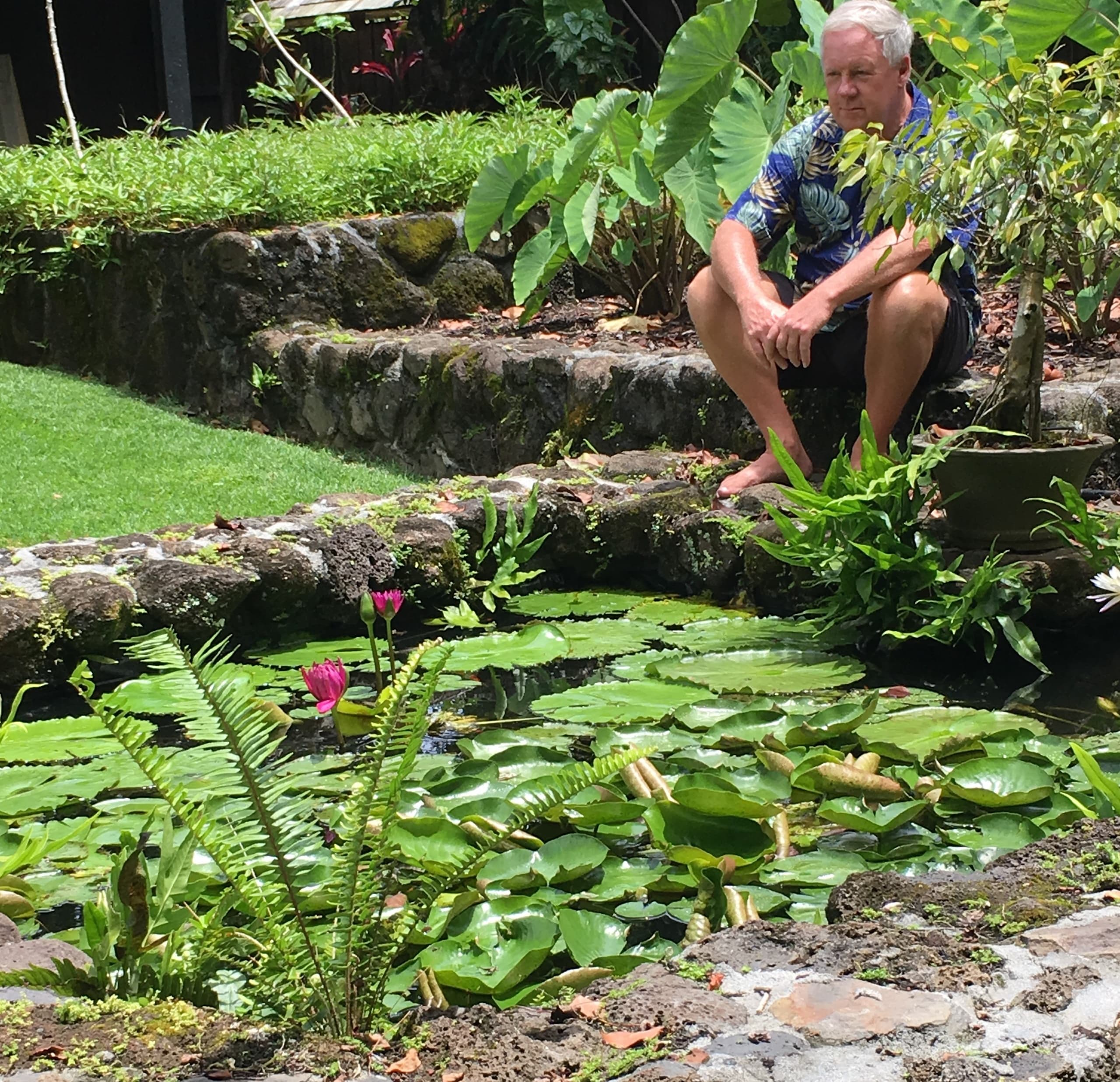 Forest + Sound Bathing at Kahaluʻu Gallery and Gardens — Kaneohe Healing Walk photo 3