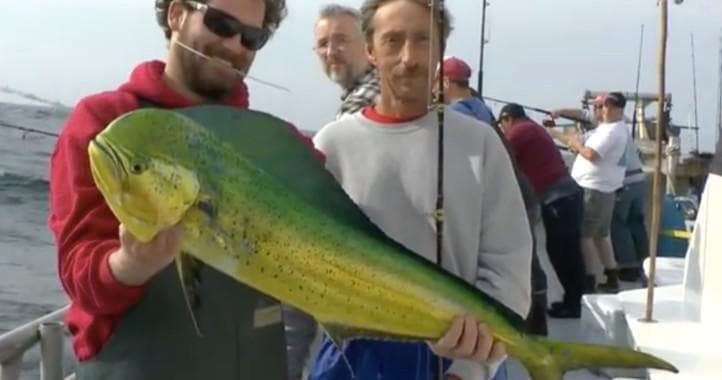 Inshore Fishing with The Gambler: Coastal Adventure Experience