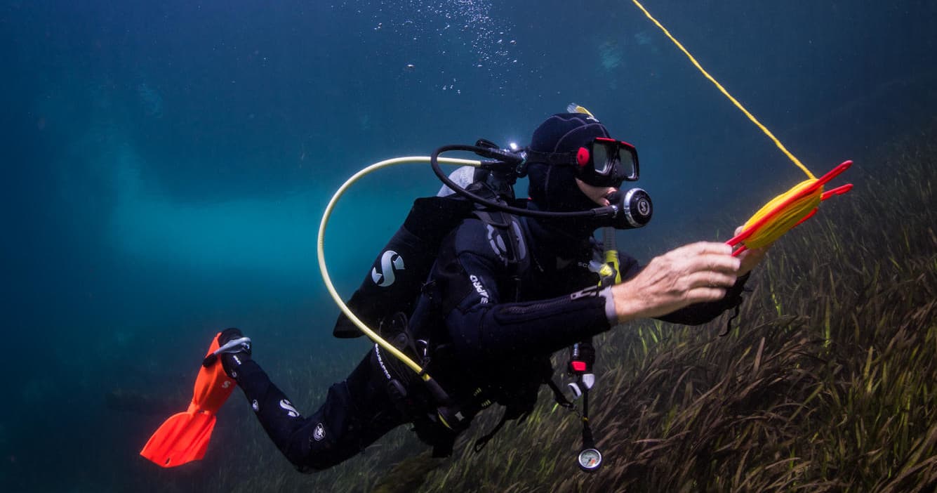Scuba diver inspecting seagrass with regulator and underwater gear