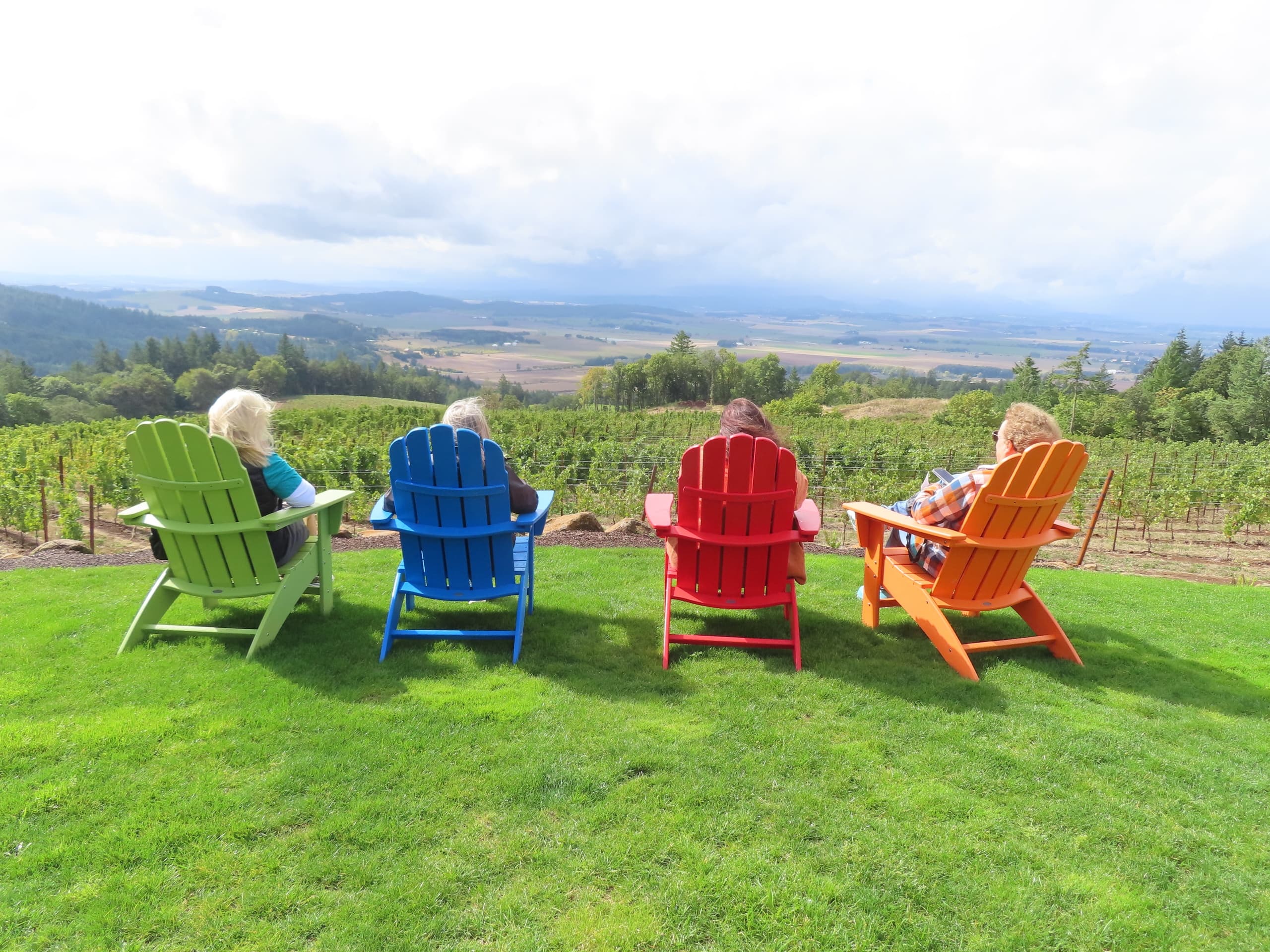 Vineyard hillside with colorful chairs overlooking valley views
