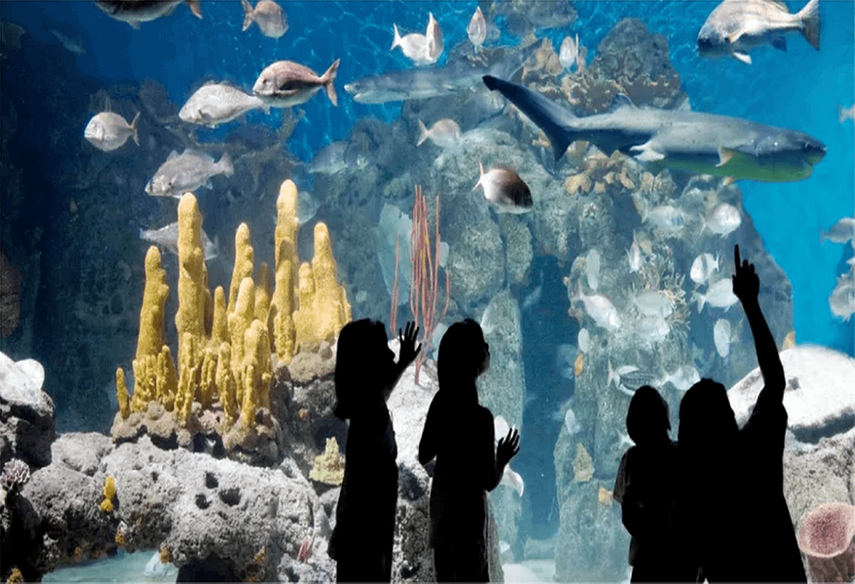 Wildlife & Conservation Tour at Temaiken Biopark with Buenos Aires Tours