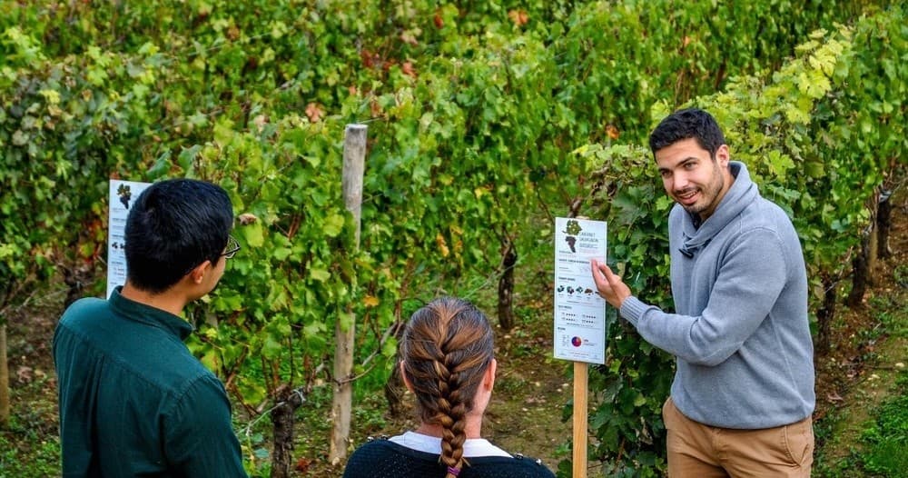 Winery Tours & Tasting at Bordeaux Wine Experience