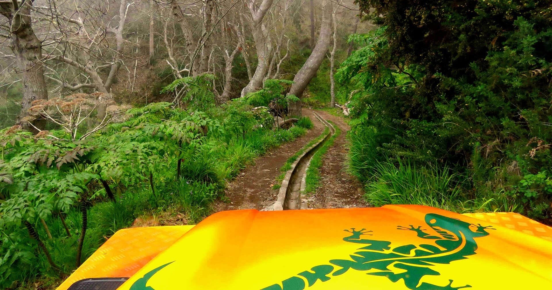 Jeep Safari in Madeira with Madeira Happy Tours