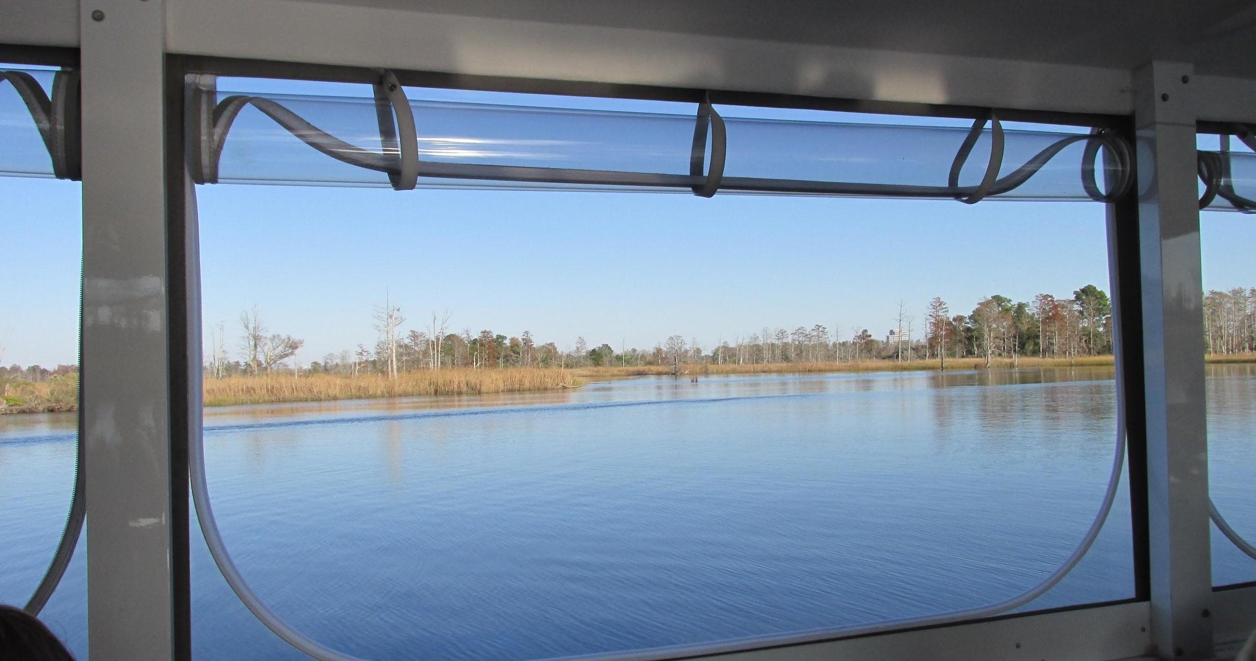 Explore Wilmington’s Natural Beauty and History on the Eagles Island Cruise