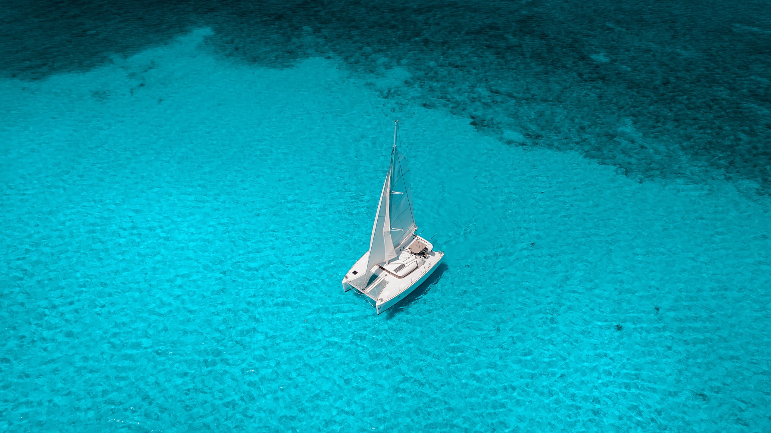 Lagoon 40 El Cielo Full Experience: Snorkel Palancar Reef & Starfish Flats in Cozumel