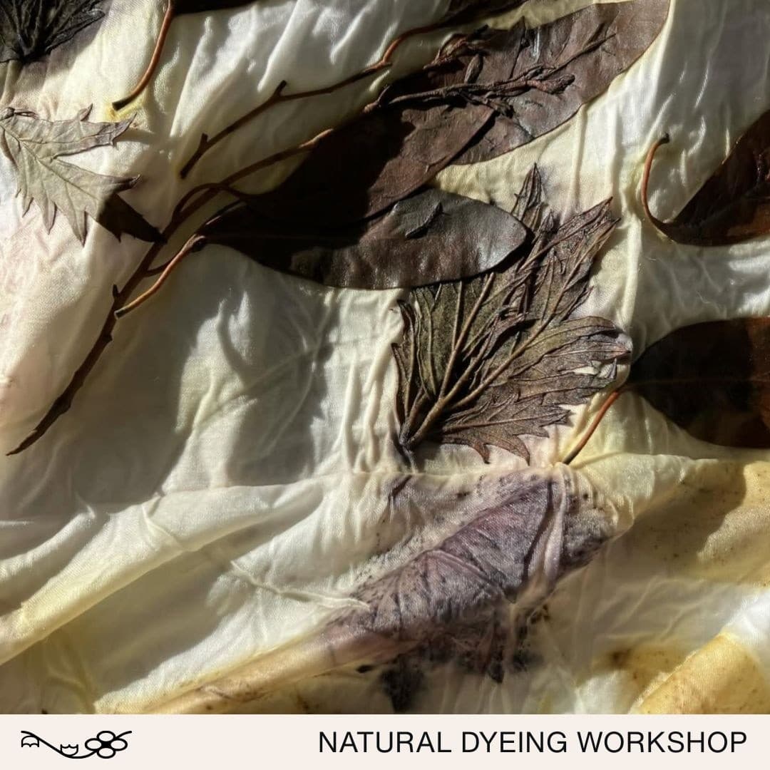 Eco-Printing in Amsterdam: Natural Dyeing Workshop with Atelier Nachtvlinder photo 3
