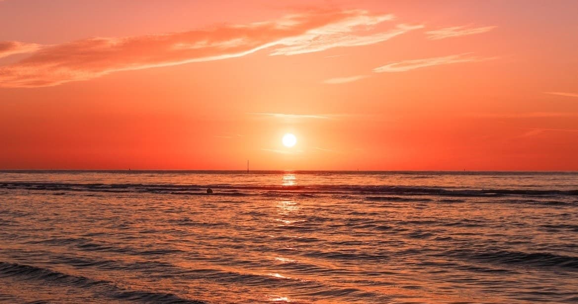 Sunset Dolphin Cruise: Panama City Beach Evening Dolphin Watching & Gulf Views