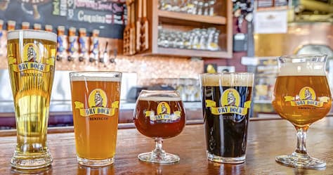Flight of craft beers lined on bar counter at taproom