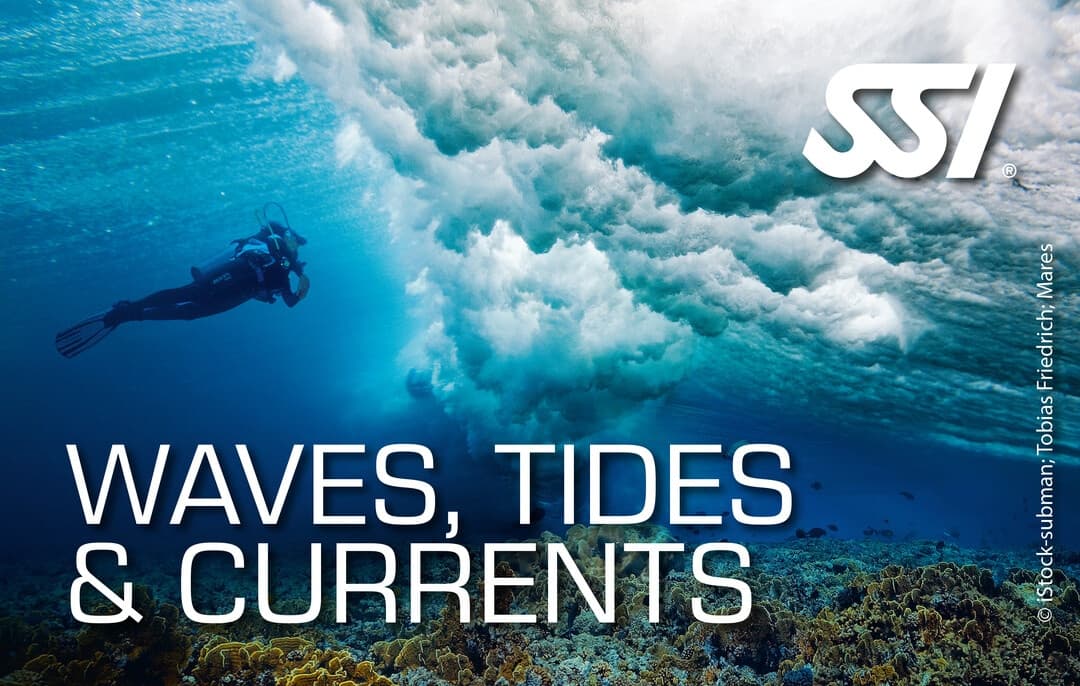Water Skills & Safety: Tauchwerkstatt's Tides & Currents Course