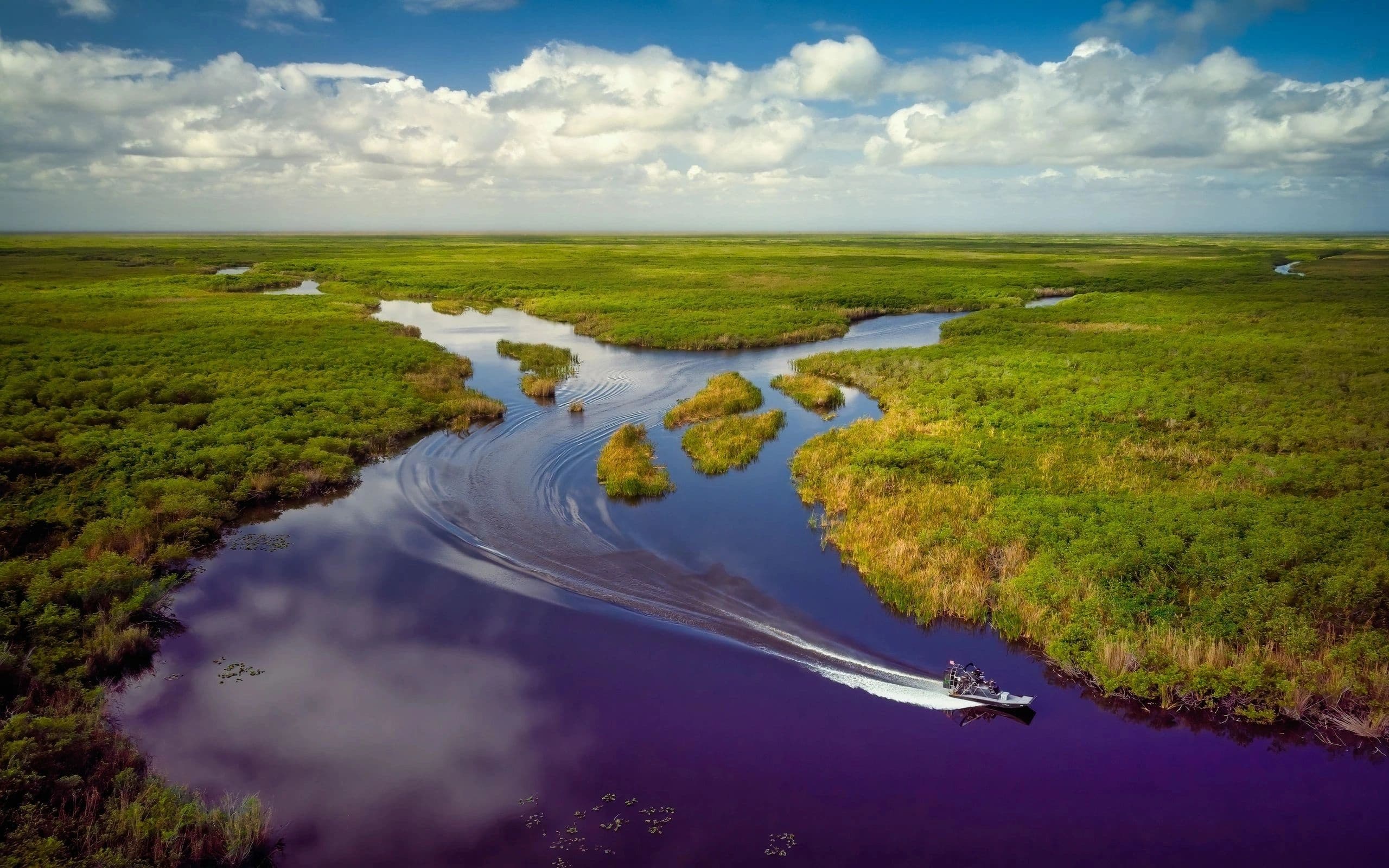 Gator Airboat Rides fleet