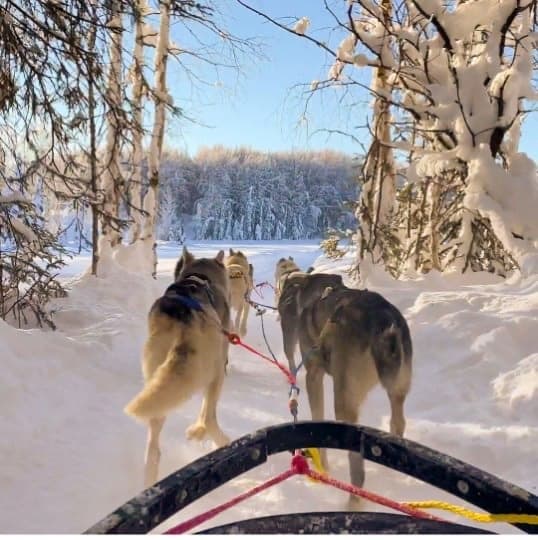 Seamless Anchorage to Snowhook Adventures Transportation for Alaskan Explorers