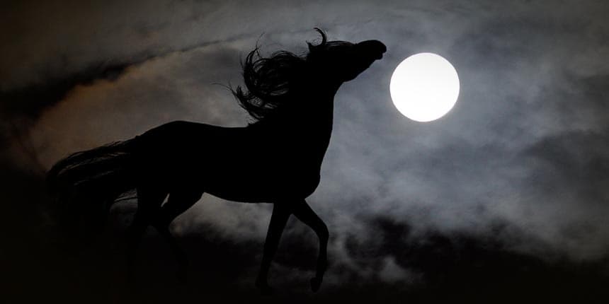 Horseback Night Ride at Ranch Brionna in Abruzzo