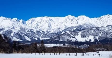 Stratton Homesick Weekend: Your Ultimate 3-Day Ski Escape at Black Bear Lodge