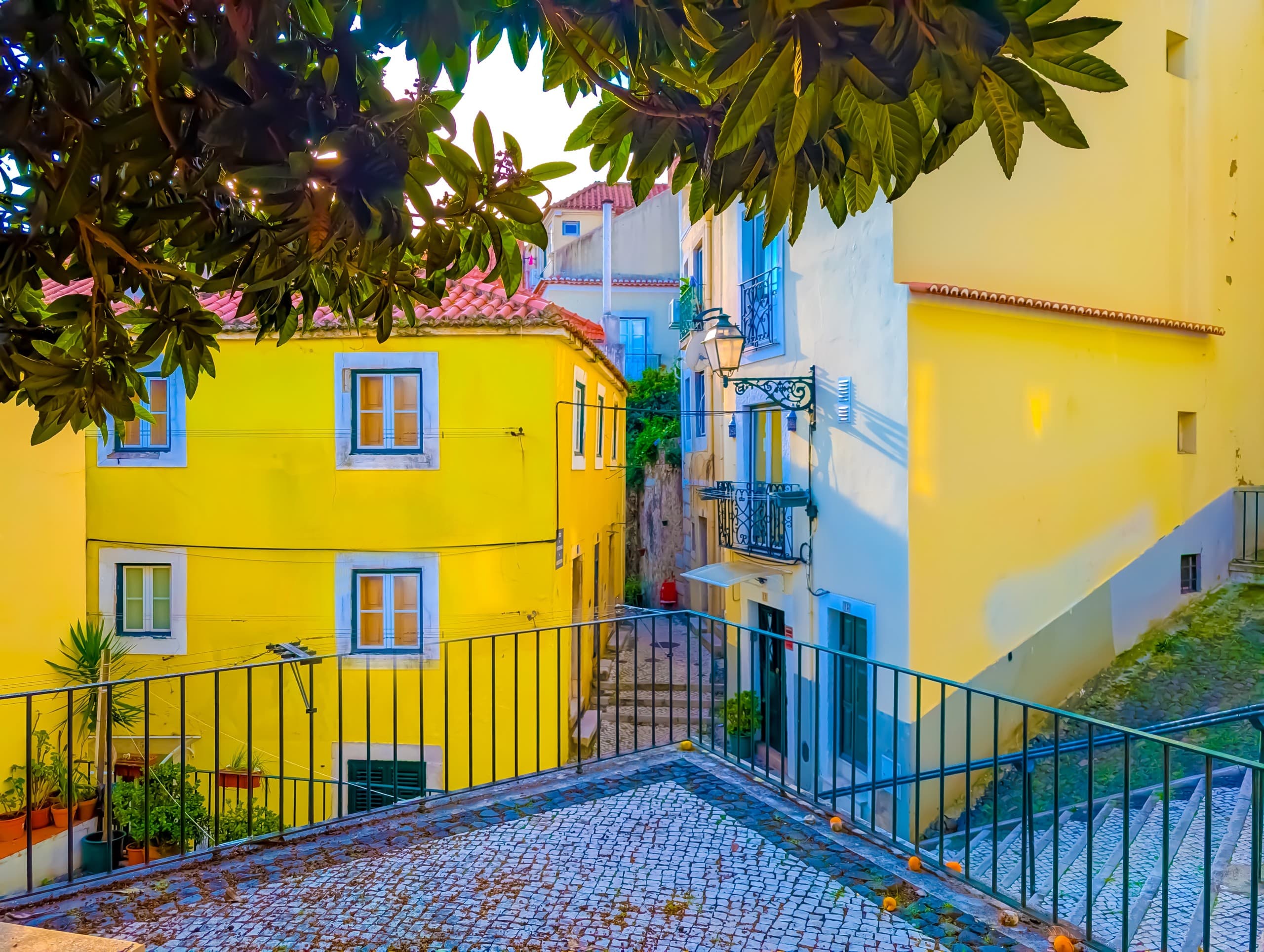 Taste Alfama: 18-Sample Lisbon Food Walk Through Miradouros, Cheese & Sardines photo 2