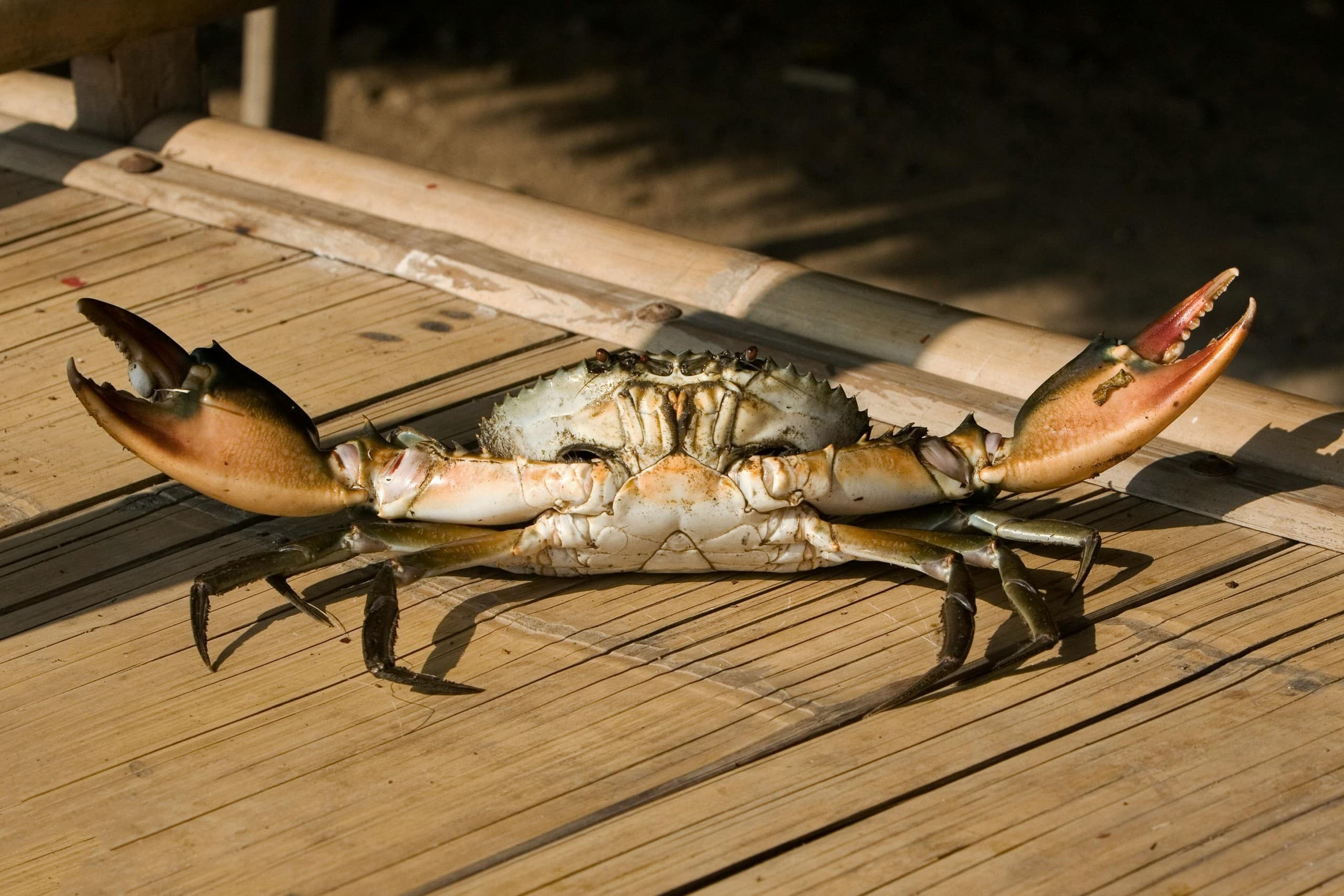 Ketchikan Crabbing and Fishing Charter - 5-Hour Boat Trip