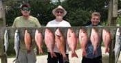 Crew displaying mixed catch of snapper and sea bass after charter