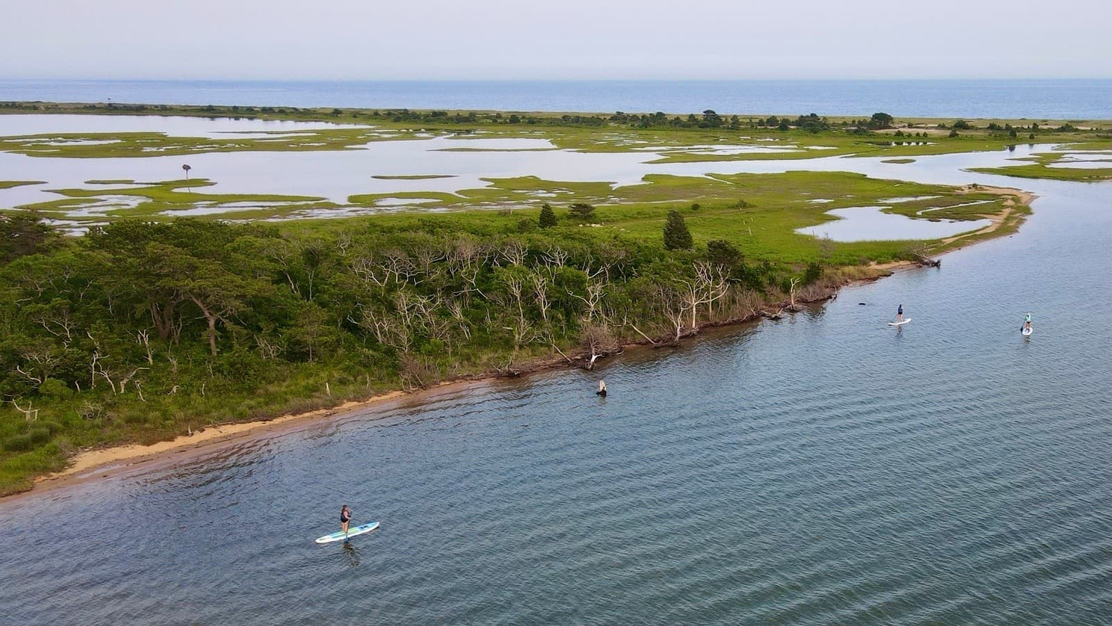 Delivered SUP and Kayak Half-Day Rentals in Mashpee and Falmouth