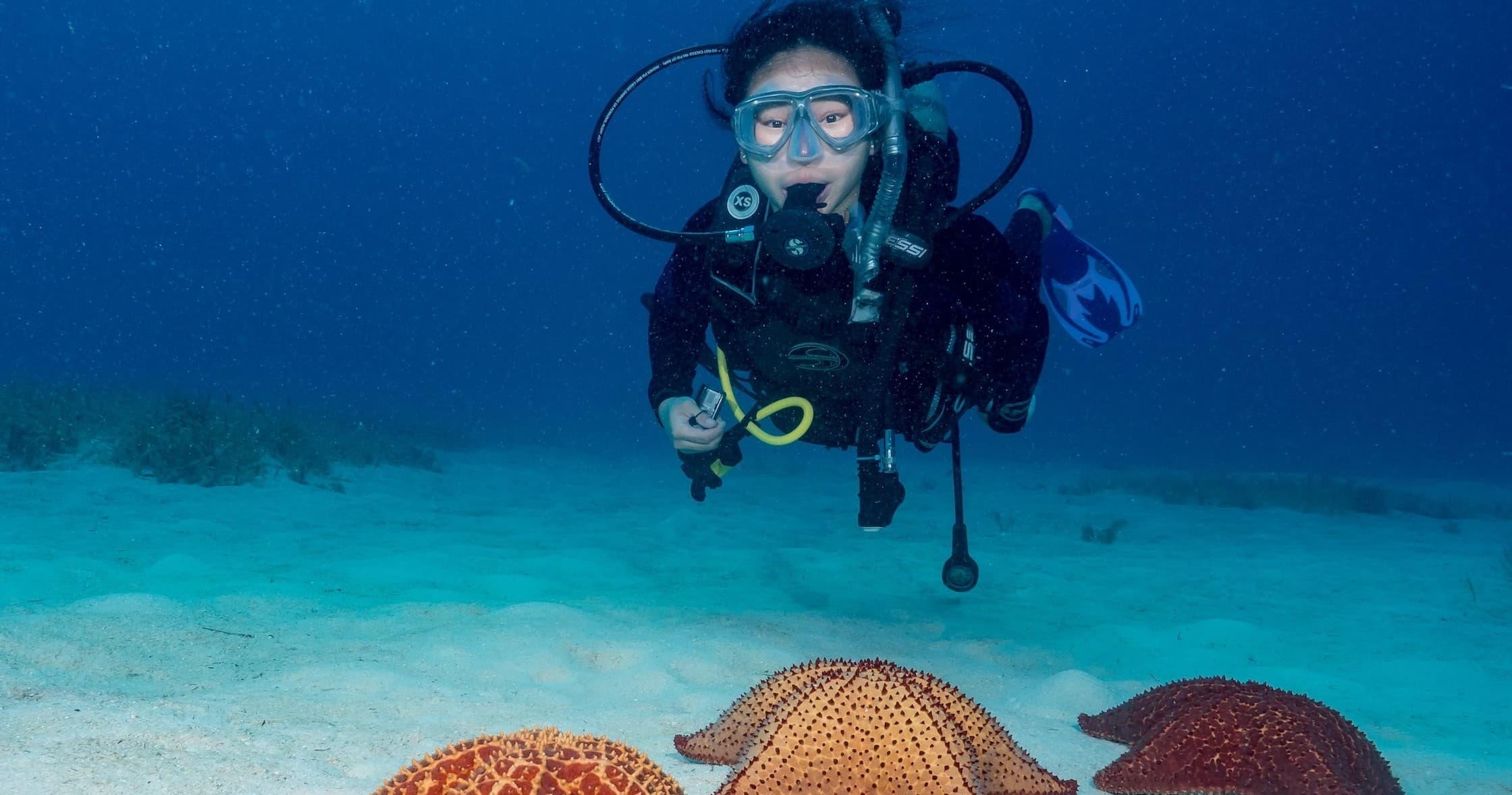 PADI Open Water Course with Punta Cana Scuba Diving